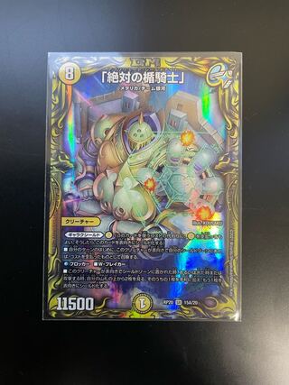 Absolute shield knight" (20th rare spec.)