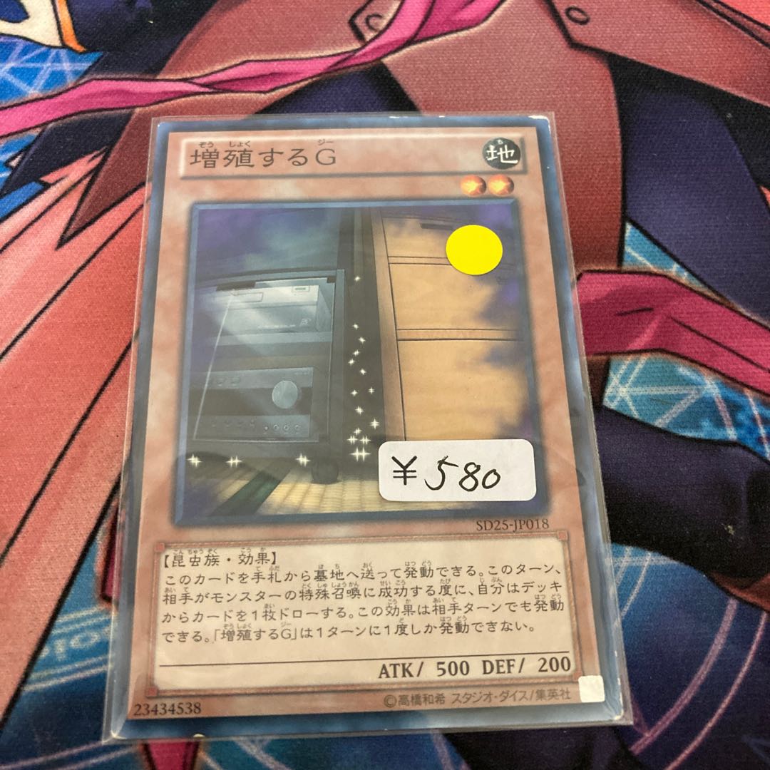 Maxx "C" Normal 1 piece special price