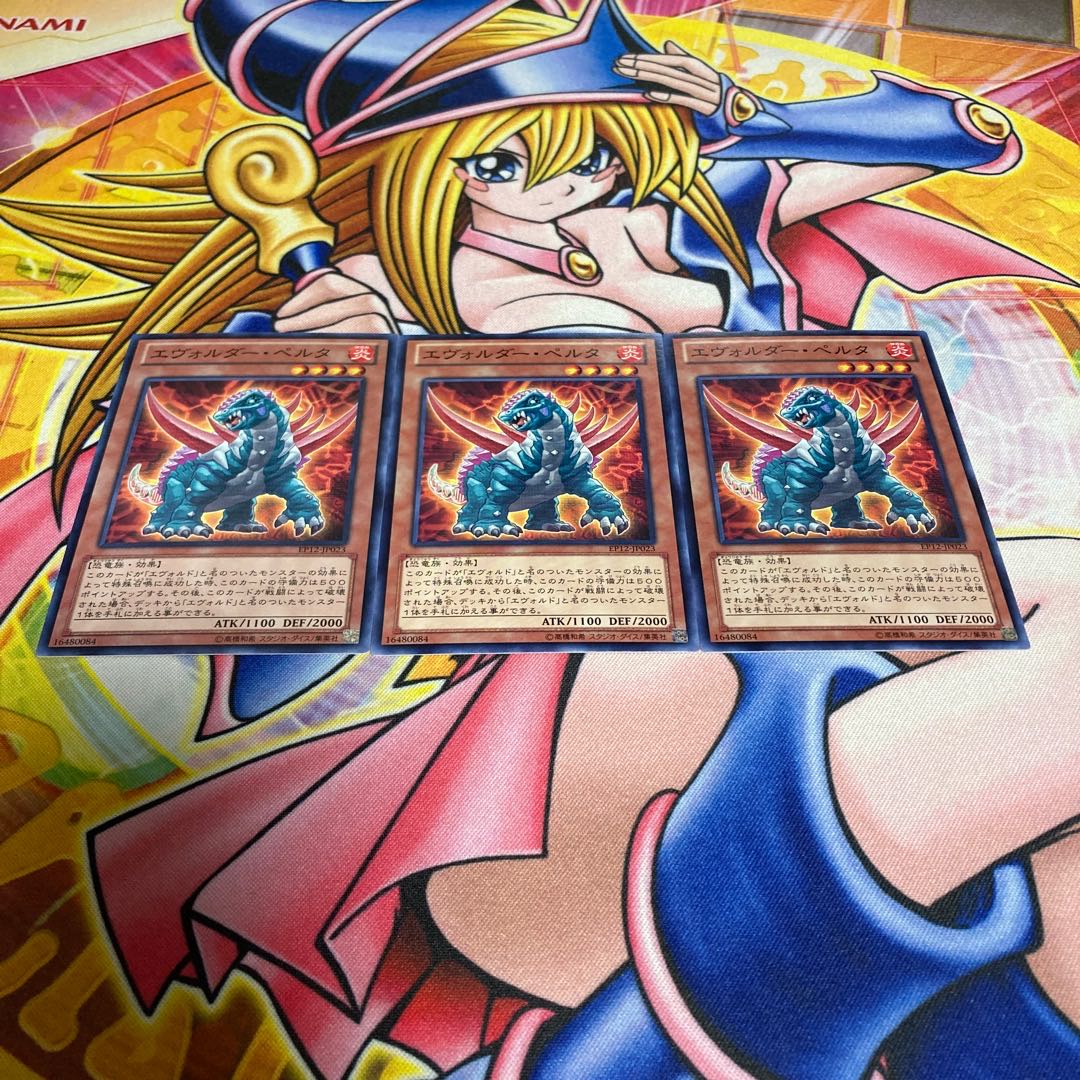 エヴォルダー・ペルタ