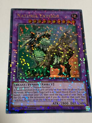 遊戯王　ナチュル・エクストリオ シークレット　dt ars10 psa 遊戯王 ナチュル・エクストリオ シークレット dt ars10 psa