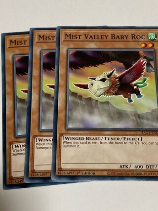 Mist Valley Baby Roc English EU edition 3 copies
