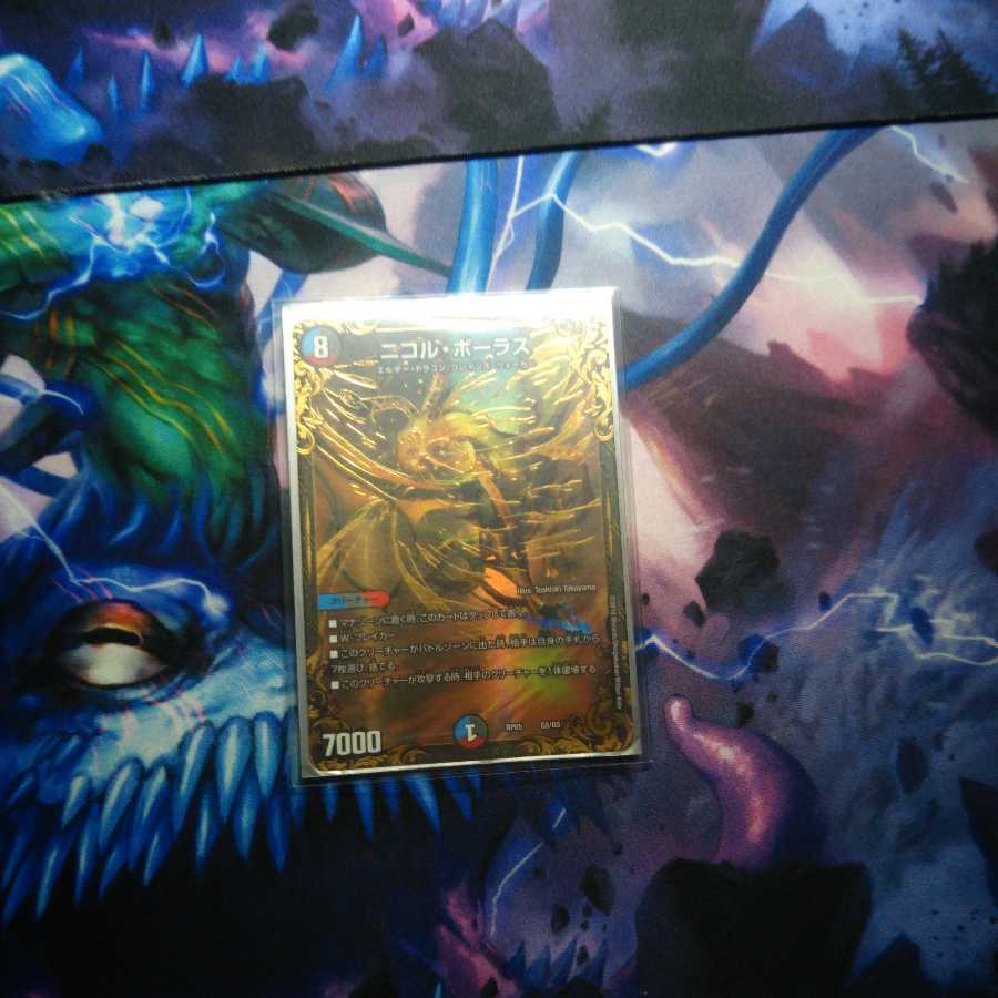 ニコルボーラス