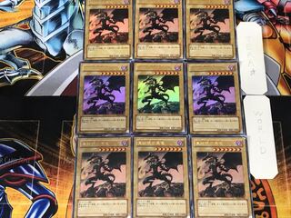 Red-Eyes Black Dragon YAP1 1 Ultra Set of 9 Tera