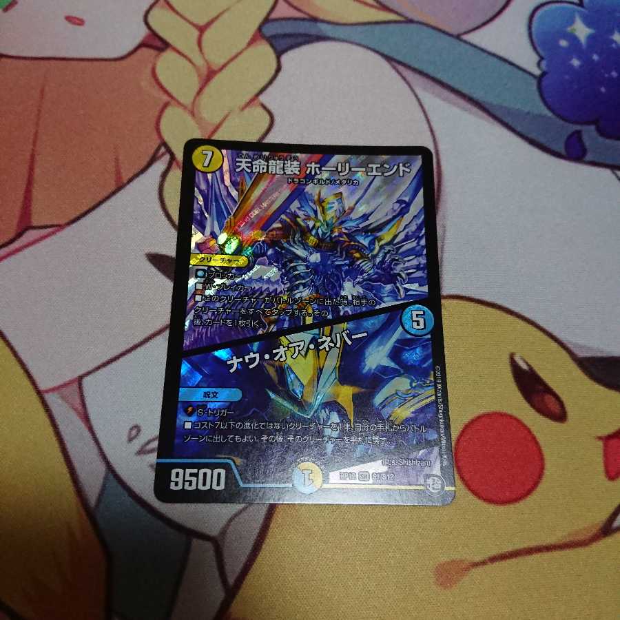 天命龍装ホーリーエンド【値下げ不可】