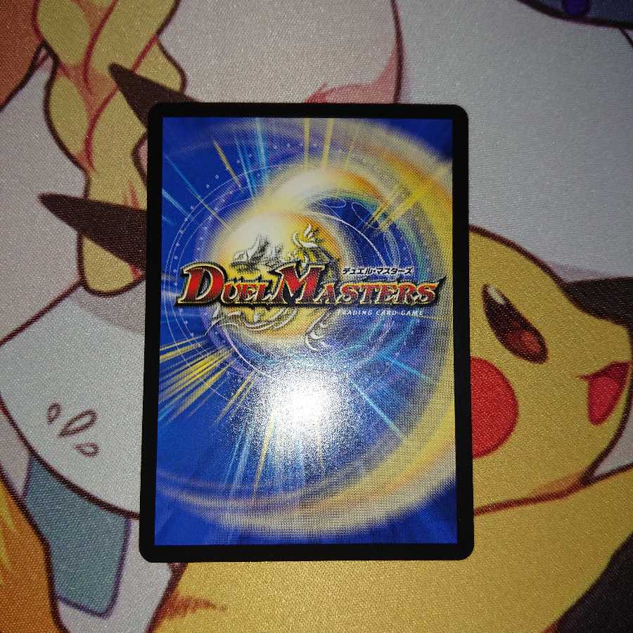 天命龍装ホーリーエンド【値下げ不可】