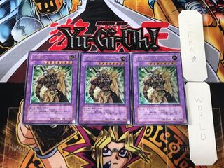 E. HERO Wild Jar Grimsleyn 2 Relief, set of 3, Tera.