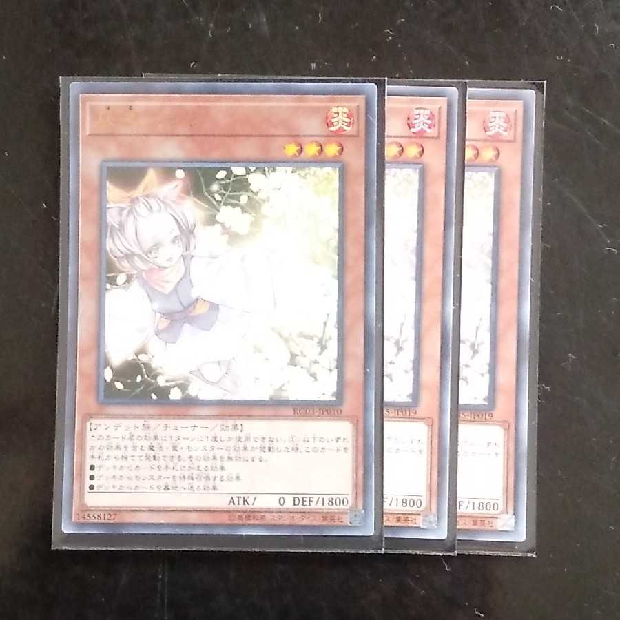 Ash Blossom & Joyous Spring 3-piece set Lowest price