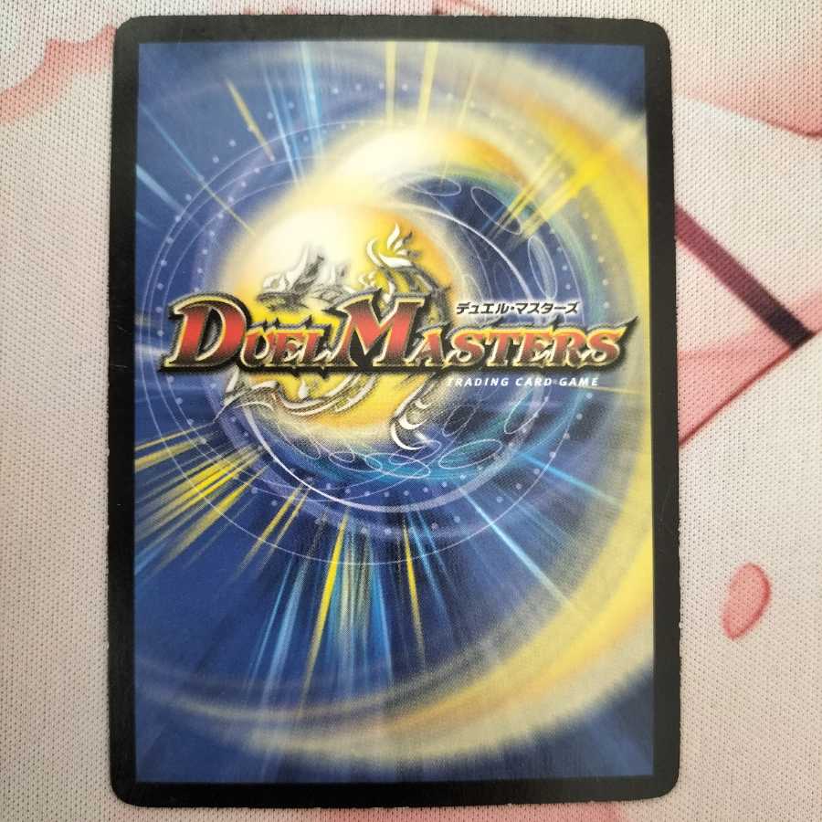 Puchohenza, chief of the Hundred Tribes