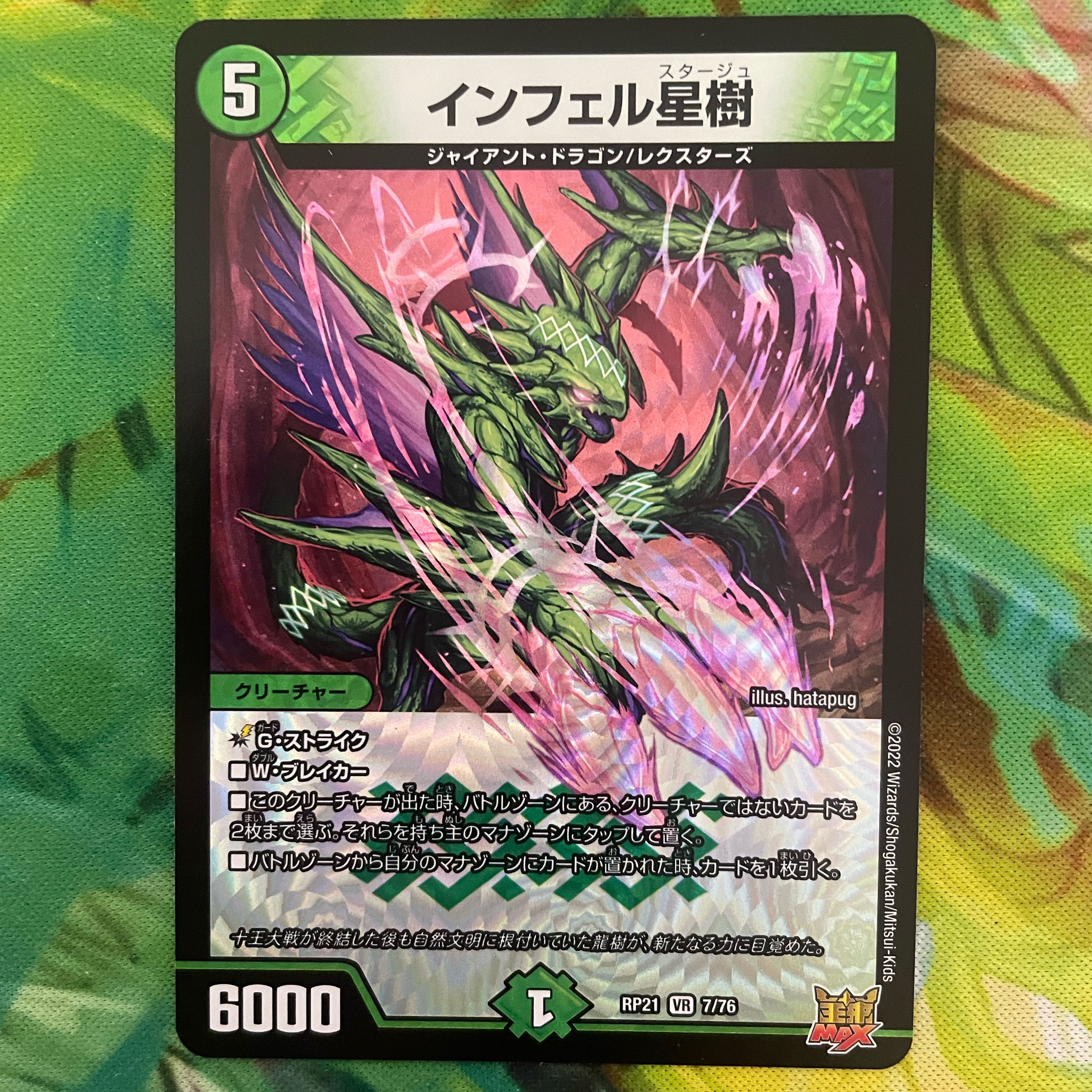 Infelix star tree (species of sedge, Infelix infertilis)