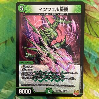 Infelix star tree (species of sedge, Infelix infertilis)