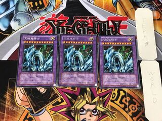 Dragon Master Knight GB7 2 Secret 3-card set Tera