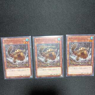 Nimble Beaver Normal 3