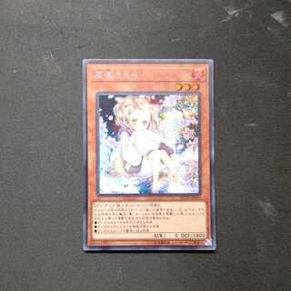 Ash Blossom & Joyous Spring (illustrated outside Umi) Secret Rare