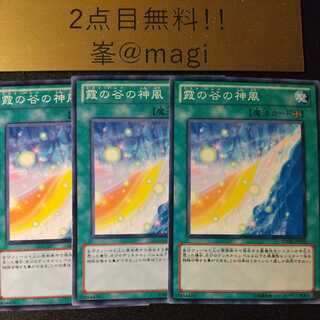 遊戯王 霞の谷の神風 ノーマル