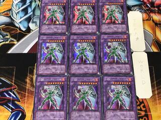 Elemental HERO Shining Phoenix Enforcer 2 Secret 9-card set Tera