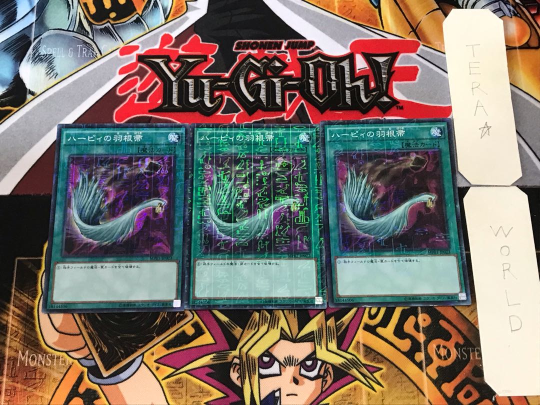 Haar Cleffa's Feather Broom 2 Millennium Super 3-Piece Set Tera