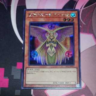 創造の代行者 ヴィーナス シークレット