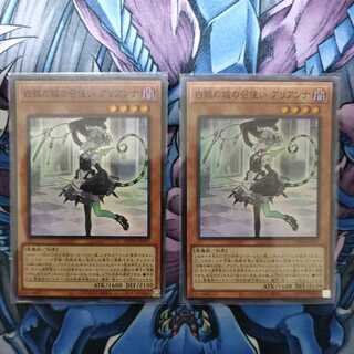 Arianna, the servant of the White Silver Castle