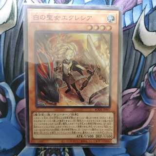 白の聖女エクレシア