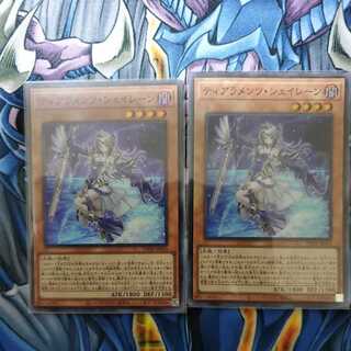 Tiaraments Shaylane Super Rare