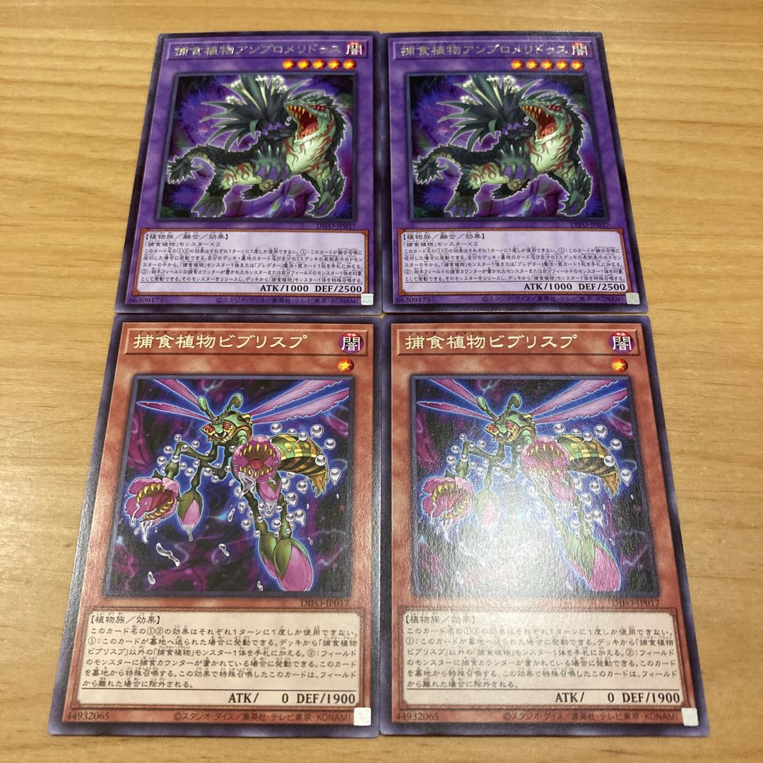 Prey Upon Plant Ambromeridus Rare Prey Upon Plant Bib Squirrelp Rare 2 each