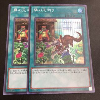 隣の芝刈り スーパーレア　2枚