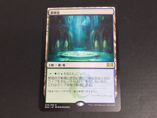 繁殖池/Breeding Pool [RNA] 反り有り M4-01/28