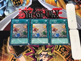 化石調査 ANPR 2 ノーマル 3枚セット てら