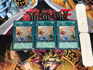 化石調査 ANPR 3 ノーマル 3枚セット てら