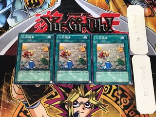 化石調査 ANPR 4 ノーマル 3枚セット てら