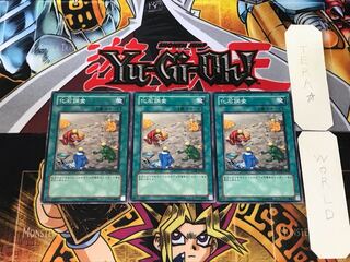 化石調査 ANPR 5 ノーマル 3枚セット てら