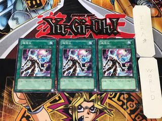 Soul Absorption 306 2 Normal, set of 3 Tera.