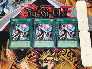 Soul Absorption 306 5 Normal, set of 3 Tera.