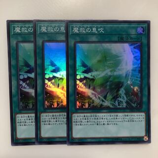 Adamancipator Signs 3 Super Rare, Mahoko