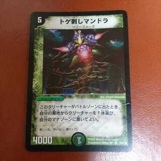 傷　セット割引　トゲ刺しマンドラ