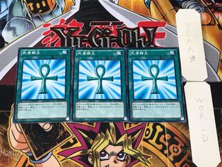 死者蘇生 SD25 5 ノーマル 3枚セット てら