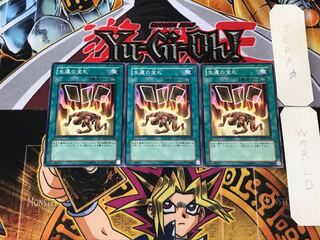 Card of Safe Return SD13 1 Normal, set of 3 Tera