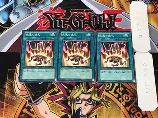 Card of Safe Return SD13 2 Normal, set of 3 Tera