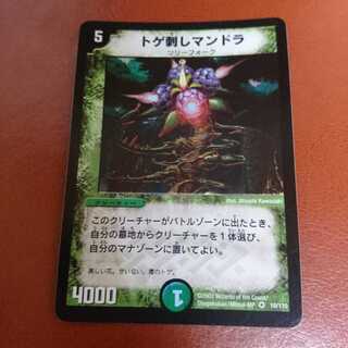 トゲ刺しマンドラ