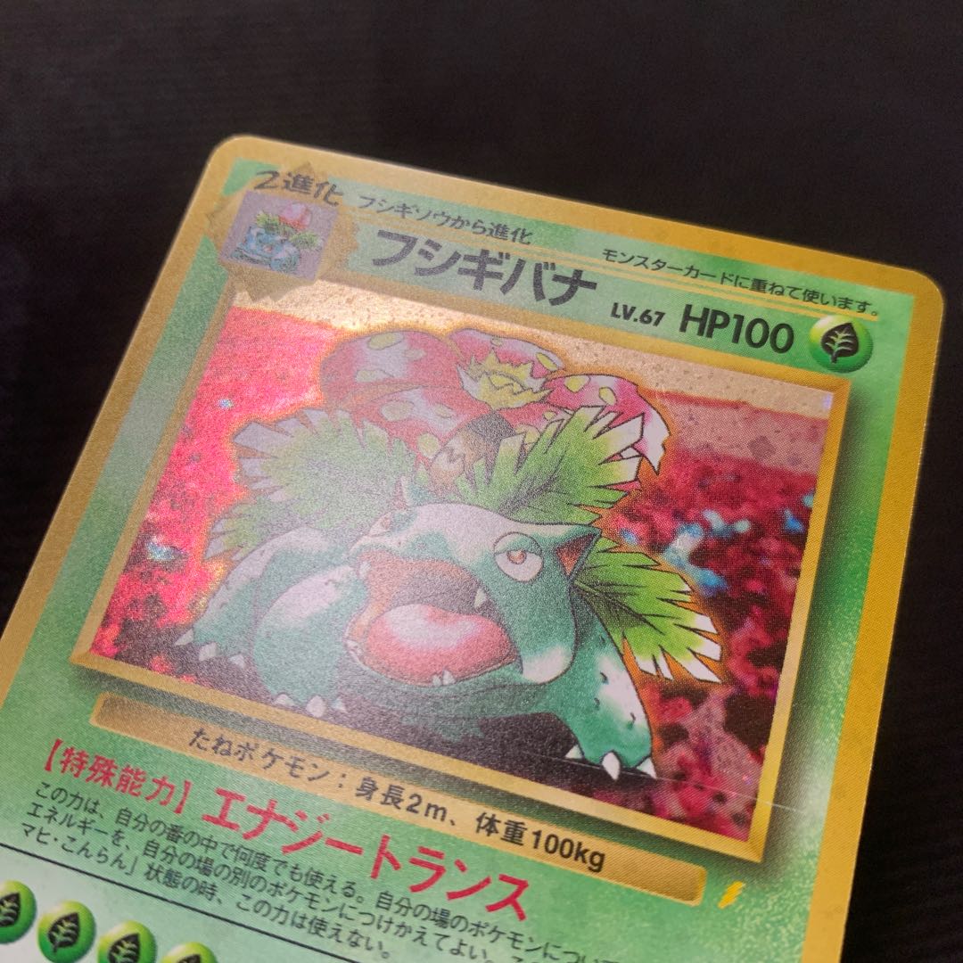 TORICHIEKO PLEASE! PROMO Set of 3 Charizard Venusaur Blastoise Old Back