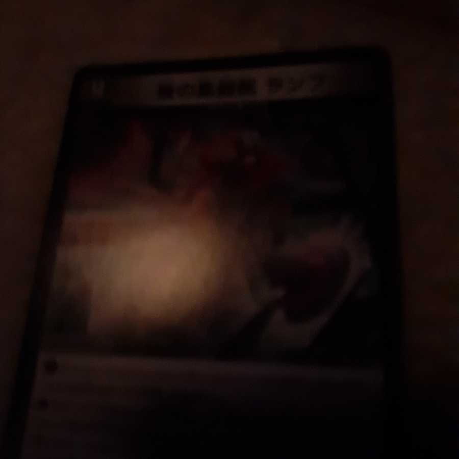 商品名なし(id: 1077903923)