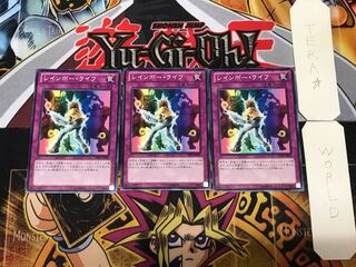 Rainbow Life DE02 2 Normal, set of 3 Tera