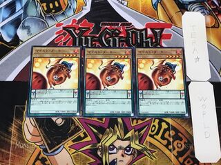 マイルド・ターキー 17PR 1 ノーマル 3枚セット てら