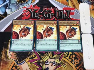 マイルド・ターキー 17PR 2 ノーマル 3枚セット てら