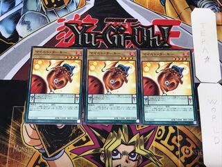 マイルド・ターキー 17PR 3 ノーマル 3枚セット てら