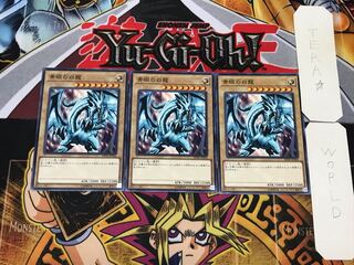 Blue-Eyes White Dragon DP20 4 Normal, set of 3 Tera.