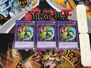 Elemental HERO Flame Wingman YCPC 1 Normal Set of 3 Tera