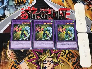 Elemental HERO Flame Wingman YCPC 5 Normal Set of 3 Tera