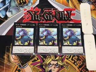 Number 41: Bagooska the Terribly Tired Tapir 18SP 2 normal, set of 3 tera