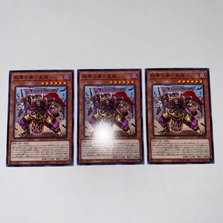 戦華の暴-董穎 ノーマル JP024